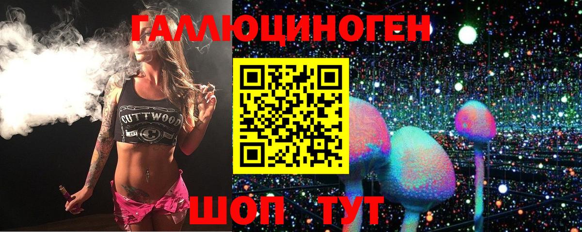 Арзамас  Псилоцибиновые грибы Psilocybe  Вход с VPN 