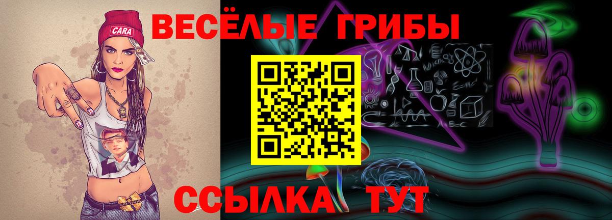 Псилоцибиновые грибы Cubensis Арзамас